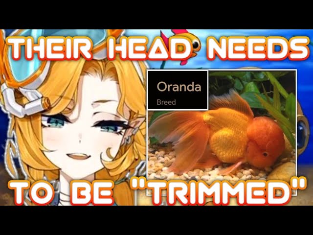 Doki и «опухолевая» золотая рыбка || Dokibird || ENVtuber/IndieVtuber