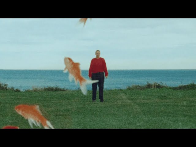 Merina Gris - Mejor* ╬