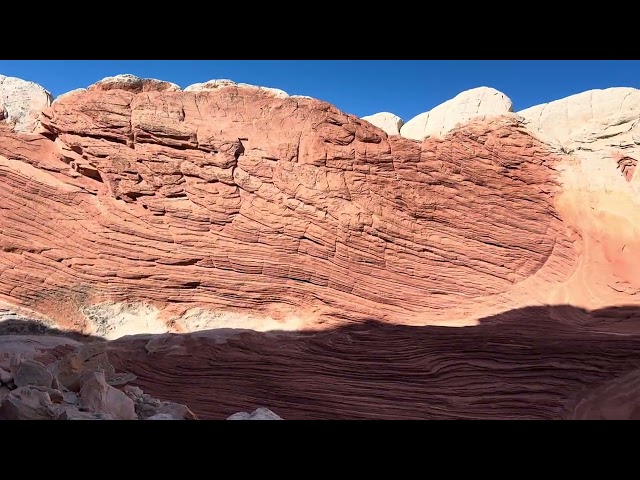 Intricate patterns at White Pocket (Arizona)