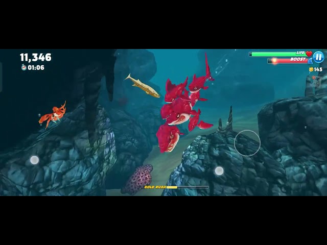 Hungry shark golden whale scape deadly shark fight 