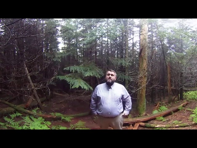 Southern Appalachian Forested Ecosystems 360° - An Introduction