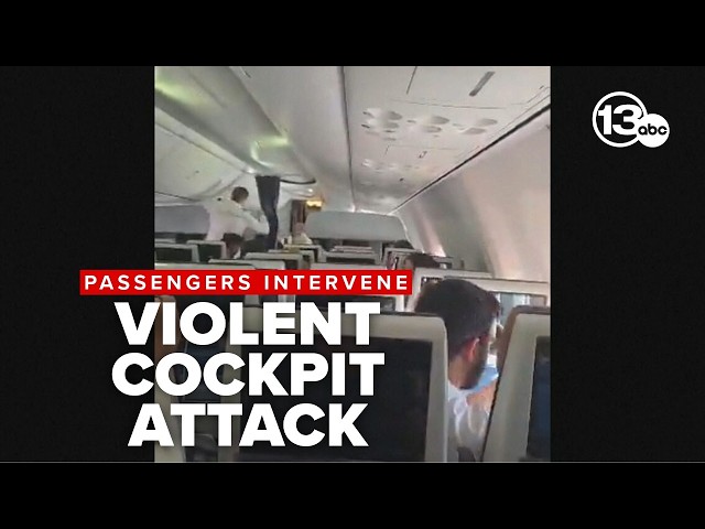 Israel-bound flight diverted after pilot allegedly tries to crash plane