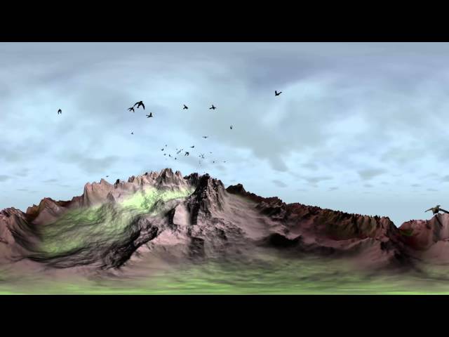 Murmuration 360 with a spherical caméra in 4K with unity