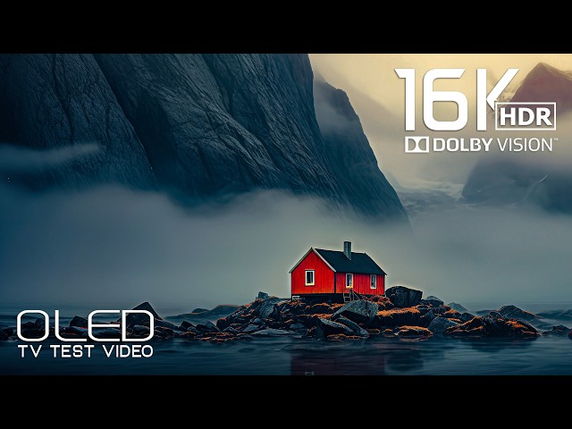 Nature Like You’ve Never Seen It | Ultimate 16K HDR OLED Experience | Dolby Vision 120FPS