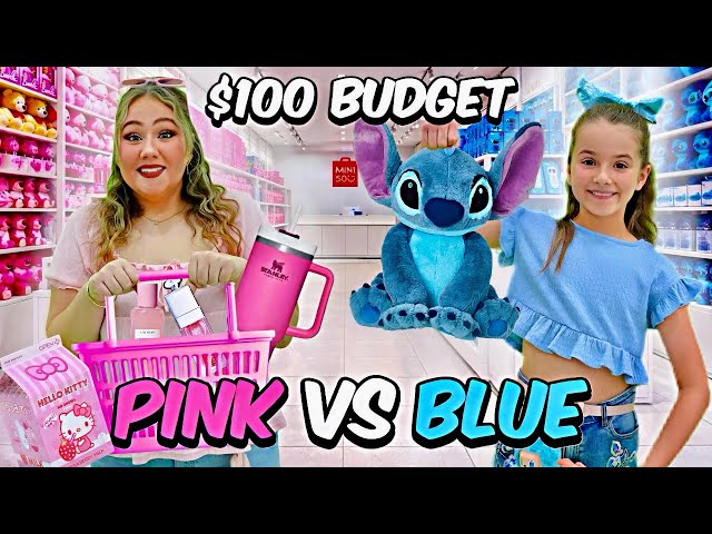 Ruby and Bonnie MINISO Blue vs Pink Shopping Challenge