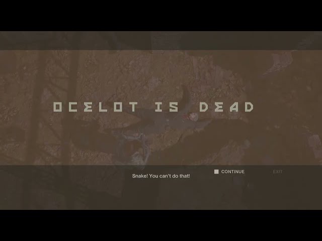 METAL GEAR SOLID 3 Δ Time Paradox