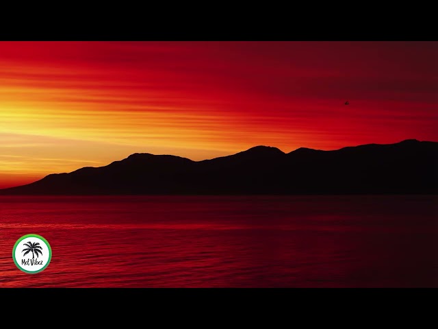 More Than Enough | Uplifting Soca Music | Positive Caribbean Vibes & Good Energy