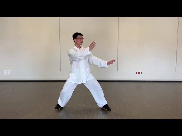 Chen style 74-form (Lao Jia Li Yu), movements 48-63
