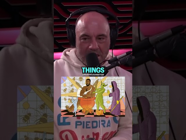 Joe Rogan explains DMT Elves