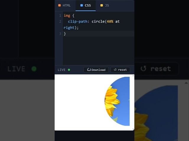 HTML Image Clip Path Semi Circle Right #coding #htmltutorial #csstutorial