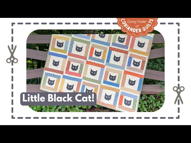 My New Little Black Cat Jelly Roll Quilt + The Final BOM Border