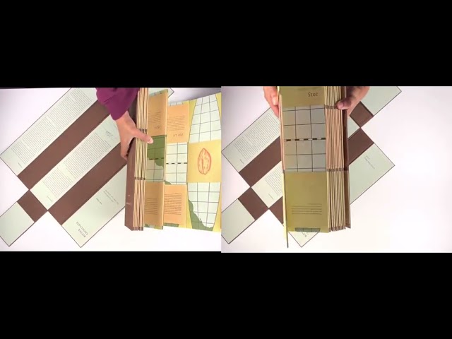 Ankitha Vasudev on "Bitter Chocolate" by Julie Chen