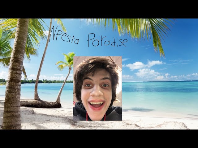 npesta's paradise