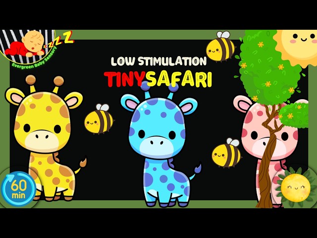 Baby Sensory Video | High Contrast Visuals for Newborn Brain Development | Calm Music for Babies