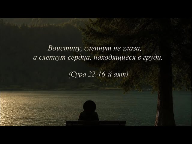 Главное не сдаваться😈#live #life #like #livestream #livestreaming #vlog #streamer #стрим #shorts