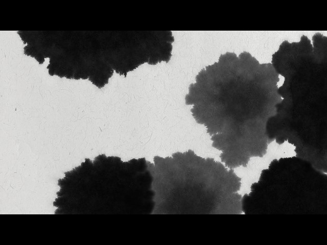 Sumi e Ink Transition - Japanese Brush Stroke Motion Graphics