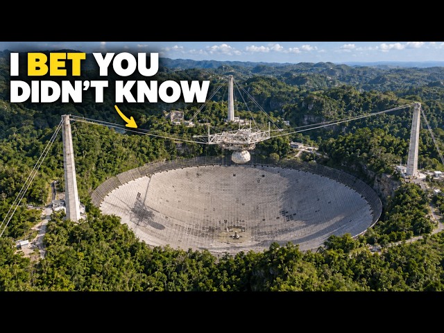 Caribbean Brilliance You Never Knew.