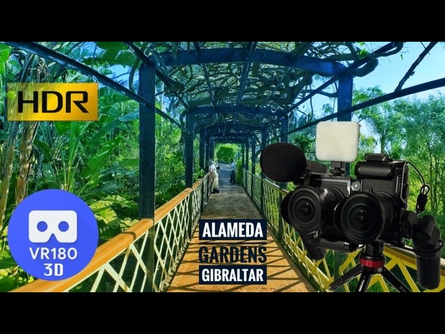 [8K HDR][VR180 3D] Alameda Garden, Gibraltar  with Panasonic S9