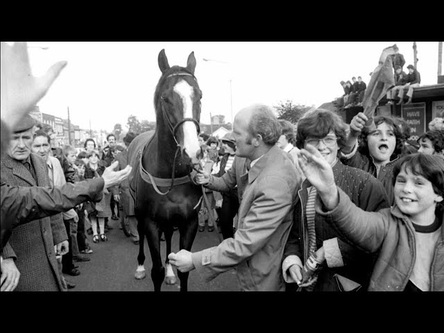 Whodunnit? The 40-year mystery that shocked horse racing