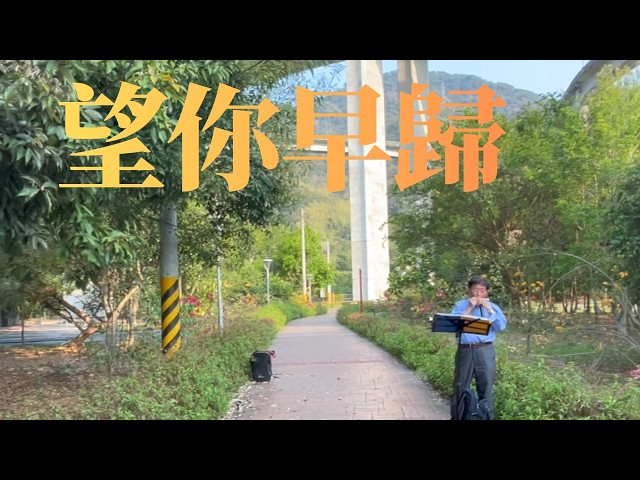 望你早歸（口琴字幕版）(Hoping You Return Soon) | Full Harmonica Performance