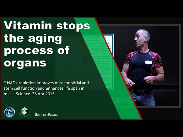 Vitamin stops the aging process of organs