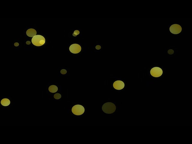 Satisfying Bokeh Animation Loop