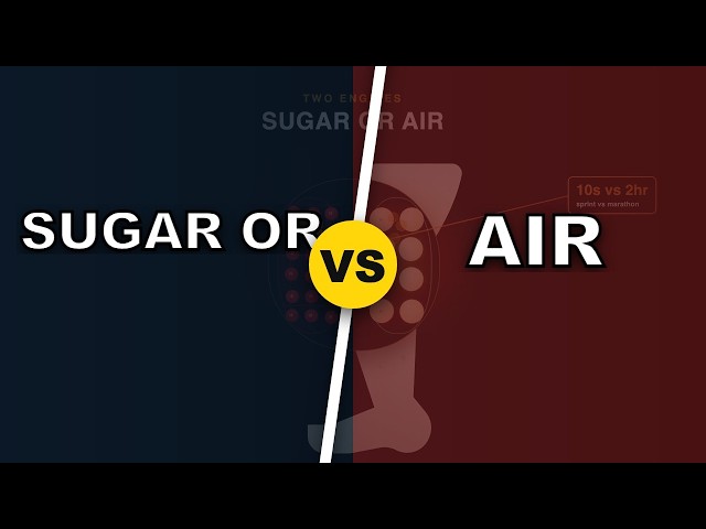 Fast-Twitch vs Slow-Twitch: 1 Sprints 10s, 1 Runs 2 Hours