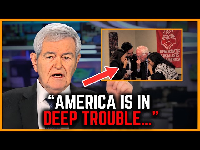 Newt Gingrich: “Something VERY Dangerous Is Taking Over The Democratic Party…”