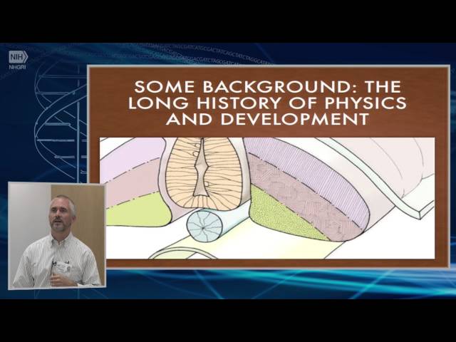 Physics, Genetic, and Investigative Reasoning in Developmental Biology - Alan Love