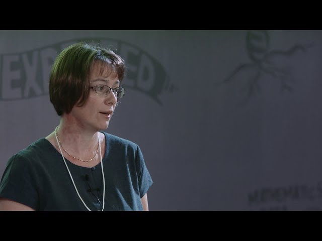 Improving access to and transfer of space technologies | Céline d'Orgeville