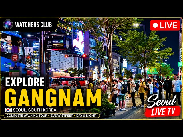 🔴 LIVE | Korea Nightlife Walks 🇰🇷 | Food Streets • Clubs • Gangnam • Hongdae • Itaewon