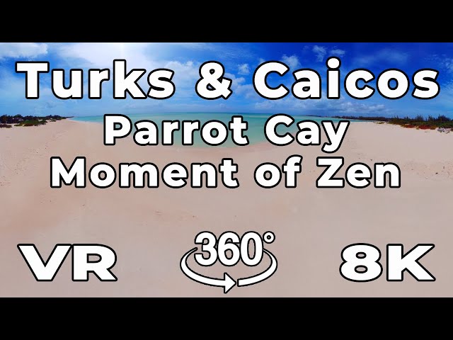 Turks and Caicos in VR ~ COMO Parrot Cay Moment of Zen ~ ASMR in 8k 360º Virtual Reality