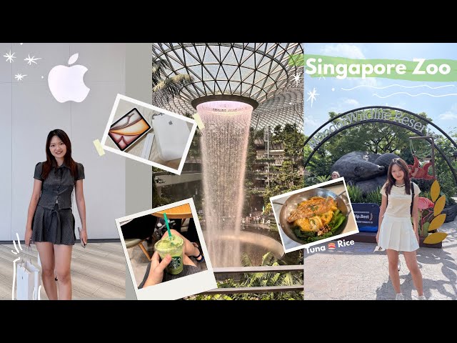 🇸🇬 Singapore Zoo Day | Apple haul for Uni ,Jewel Changi & Matcha break 🍵✨