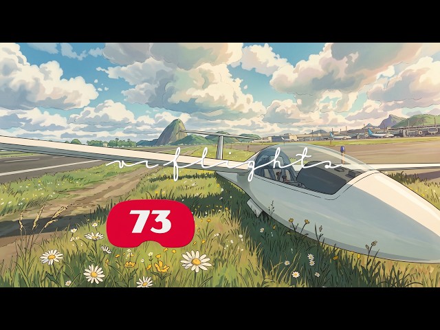 Glider in Rio de Janeiro, Flew in VR at 90 fps, SU 5.1.