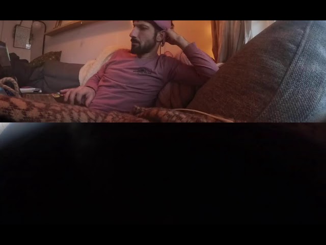 dadadavideo Live Stream