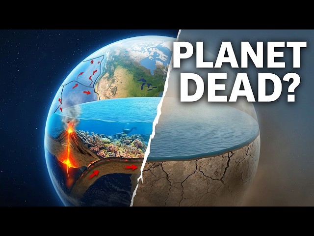 What If Earth Had No Tectonic Plates?
