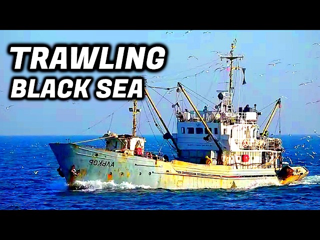 Harsh, Risky And Badly Paid. Life On a Commercial TRAWLER