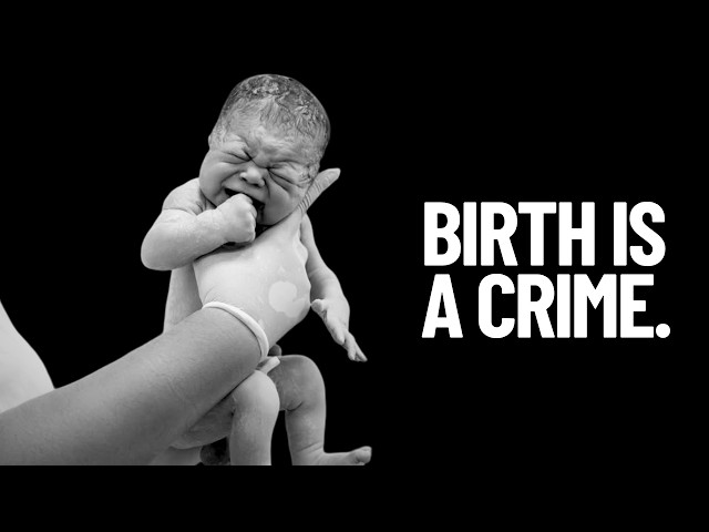 Why Every Great Philosopher Refused to Have Children | 4 Reasons