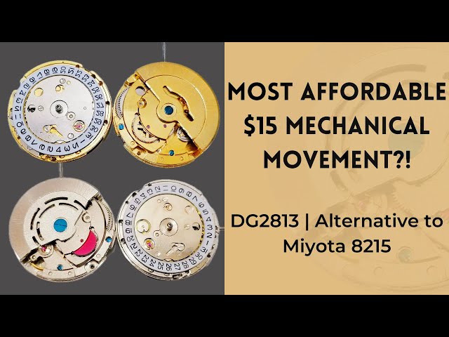 Cheap but is it Good? Guide to $15 Chinese DG2813 Automatic Movement | Miyota 8215 Replica