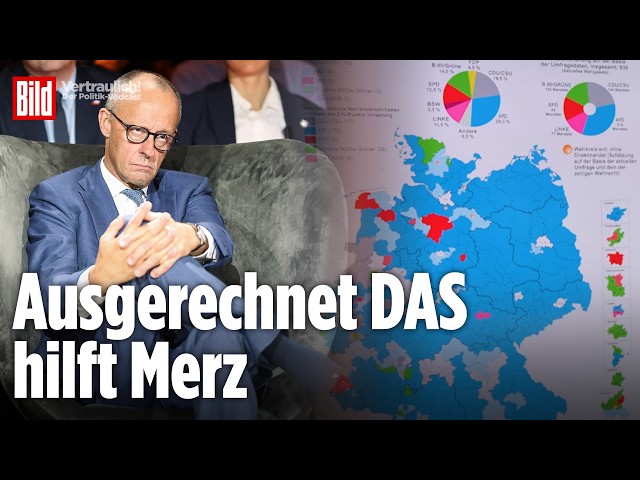 Das Paradox der Politik: Warum AfD-Erfolge Merz helfen könnten | Vertraulich
