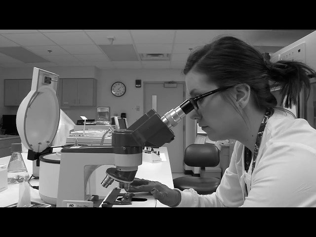 Medical Technologist - Career Connections - WBGU