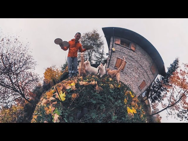 CATS - 360 BREAKFAST VIDEO