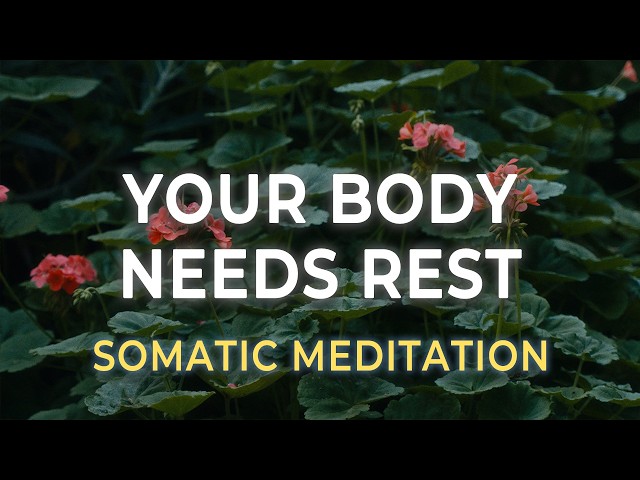 Nervous System Reset | A Somatic Meditation for Deep Rest