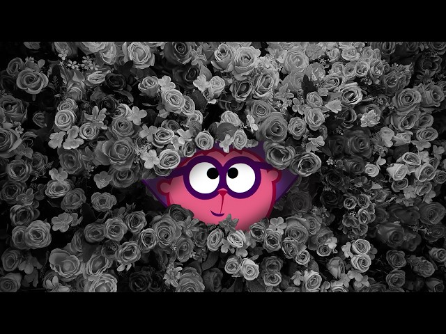 sun_burn1_.mp4