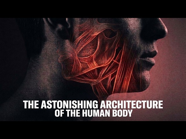 🔴 Vital Codes: COMPLETE HUMAN ANATOMY || COMPLETE GUIDE FOR BEGINNERS