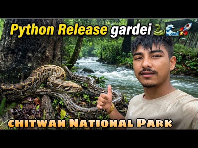 ठूलो Python Jungle मा Release गर्दा यस्तो भयो 🐍😱 | Chitwan National Park
