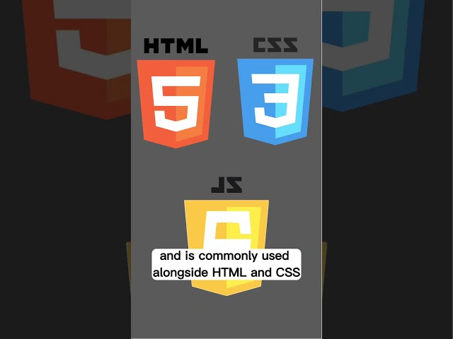 WHAT IS JAVASCRIPT