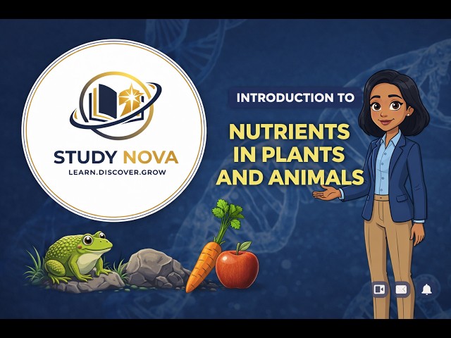 Nutrition In Plants And Animals