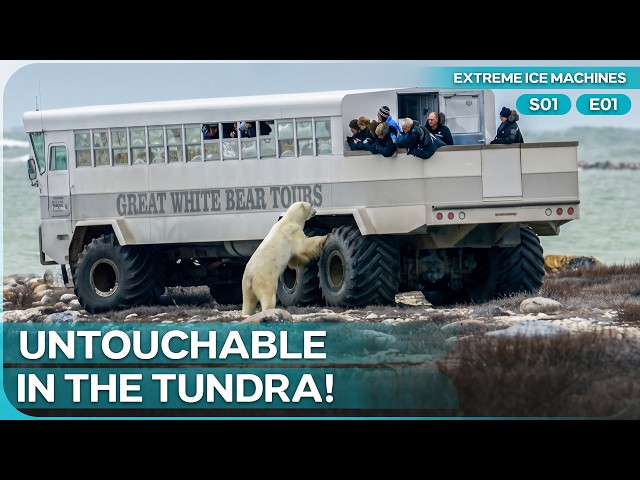 Surviving Deadly Polar Bears in a 15-Ton Monster Bus | Extreme Ice Machines
