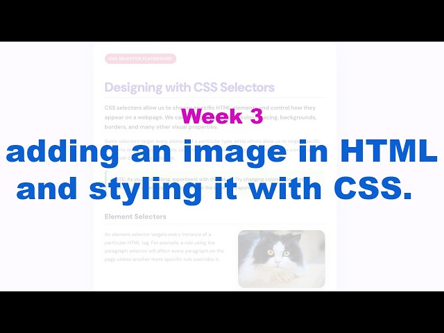Week 3 — CSS Selectors Demo + Adding Images in HTML and Styling with CSS